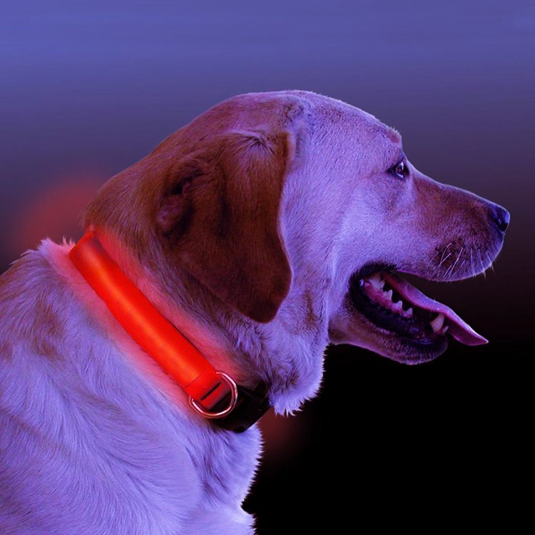 LED Safety Dog Collar