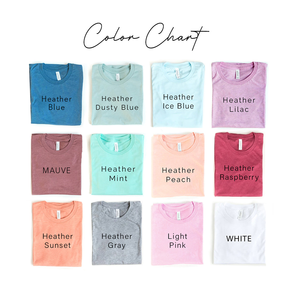 Paw Heart Pet Lover T-Shirt