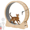 Indoor Cat Exercise Wheel – Quiet Running Treadmil