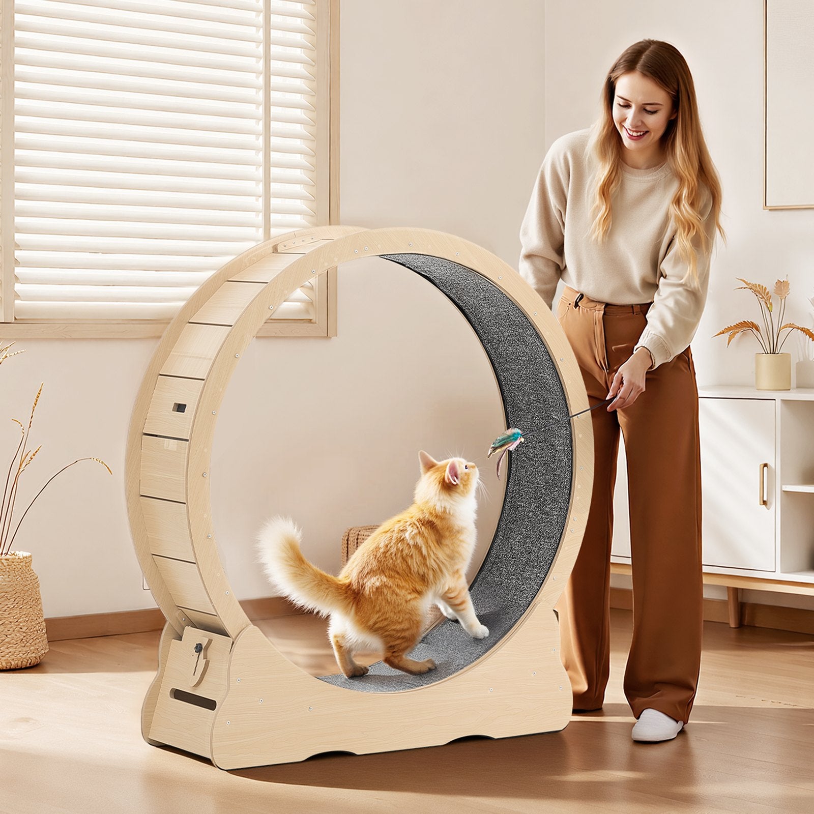 Indoor Cat Exercise Wheel – Quiet Running Treadmil